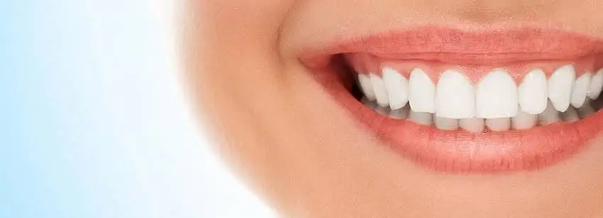 Wagner Dentistry