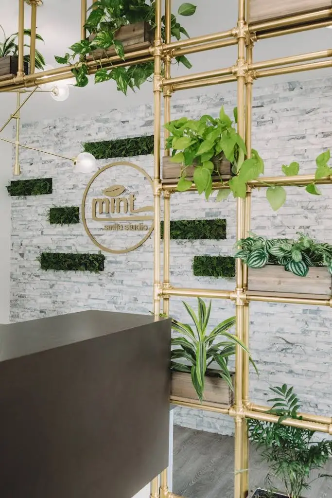 Mint Smile Studio