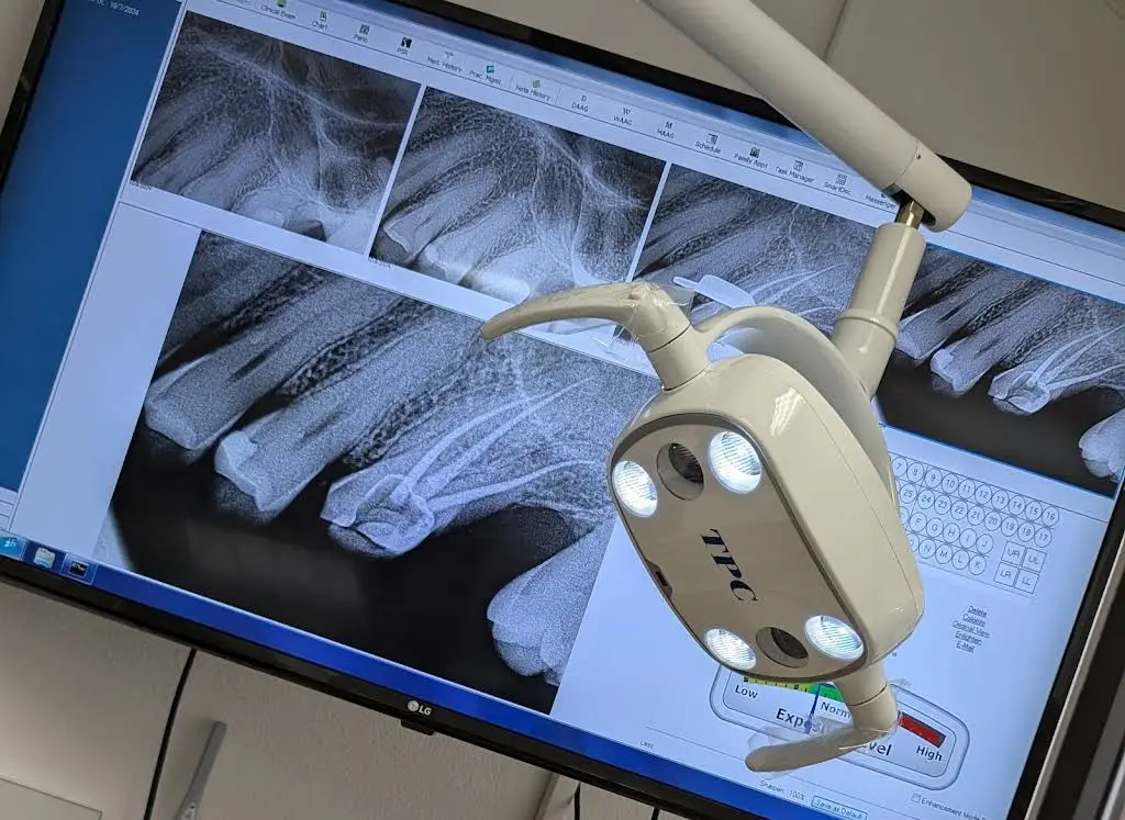 Bristol Dental Group