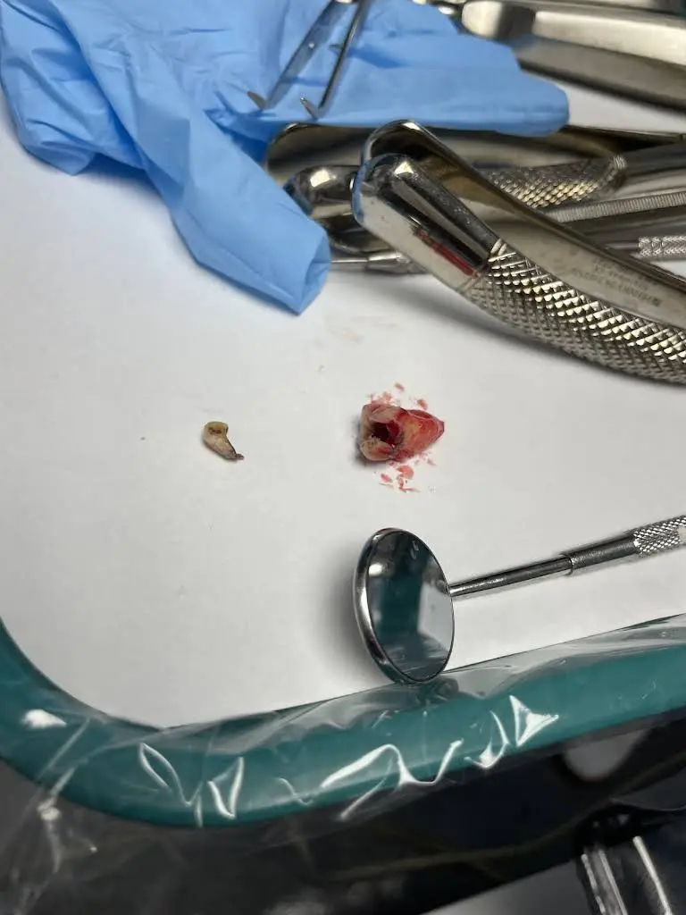 Absolute Dental