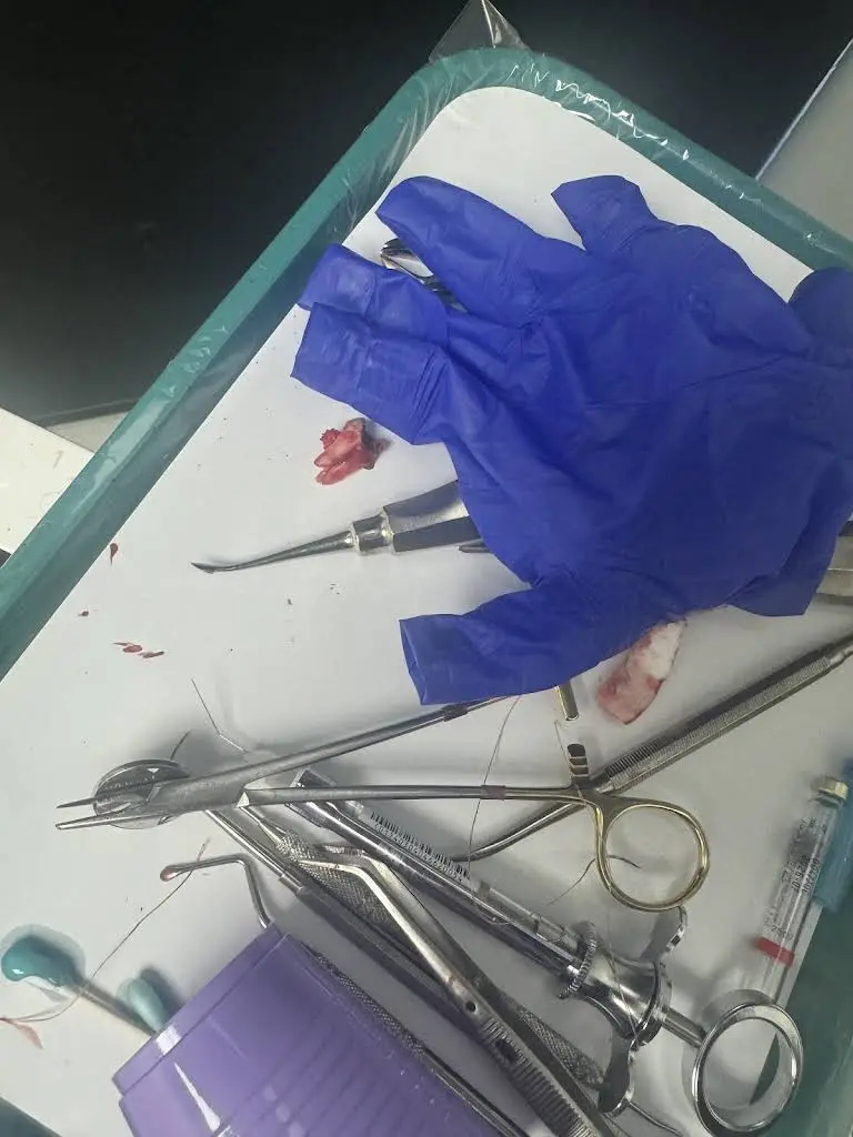Absolute Dental