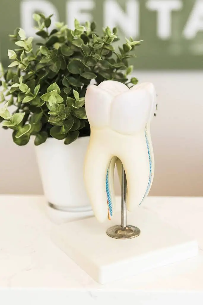 Apple Blossom Dental