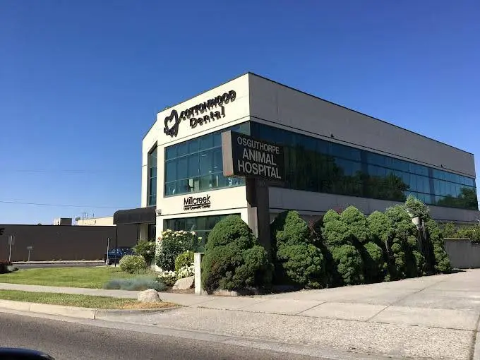 Cottonwood Dental