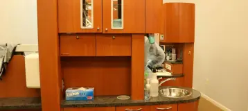 Dental Starz
