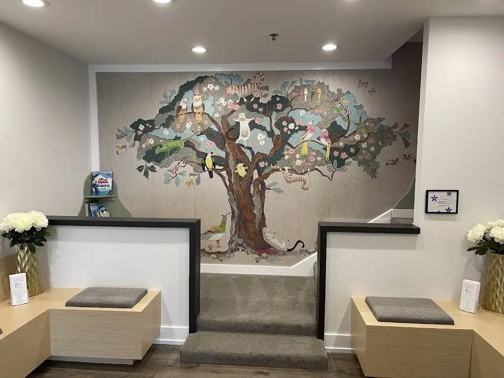 Bloom Pediatric Dentistry & Orthodontics