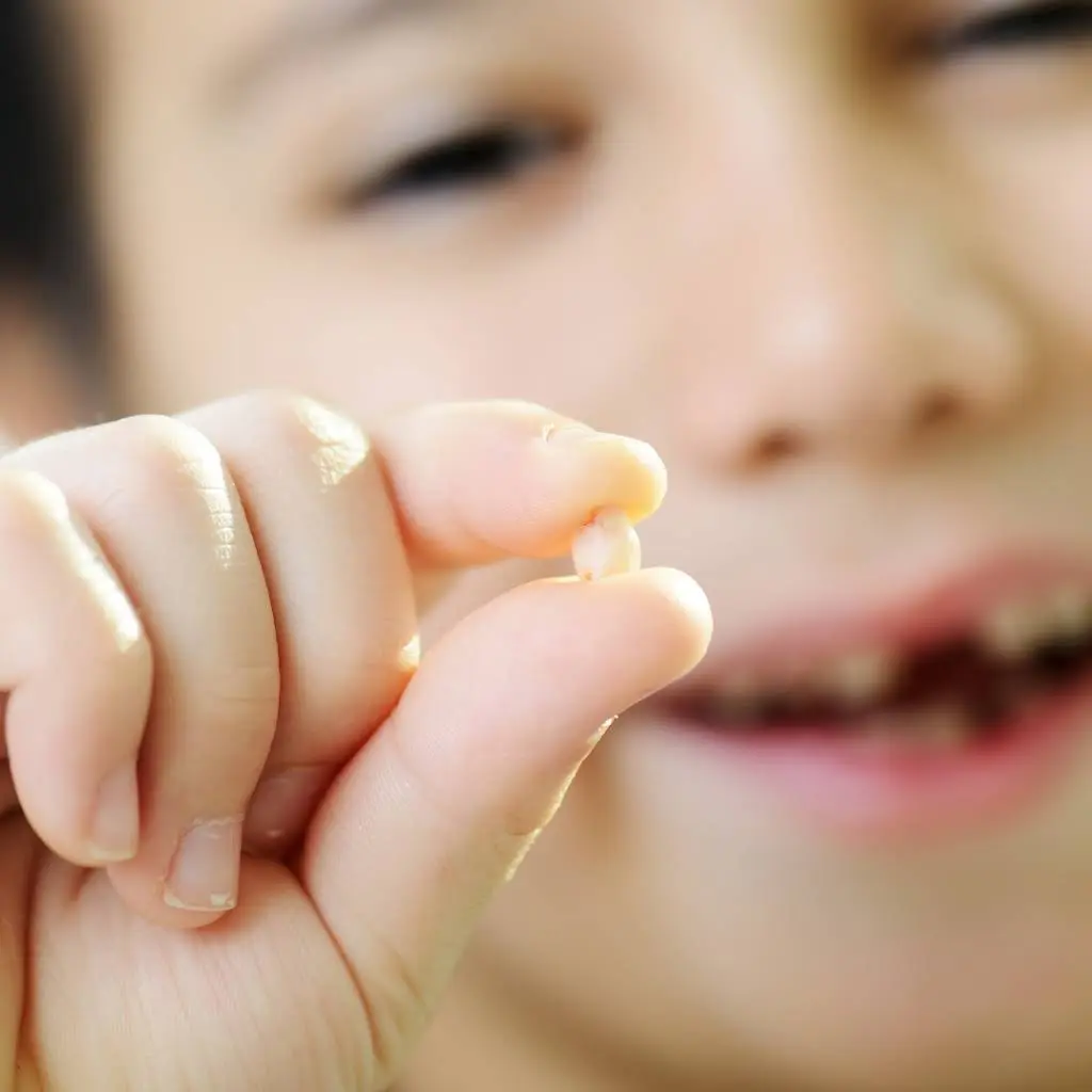 Boca Dental and Braces