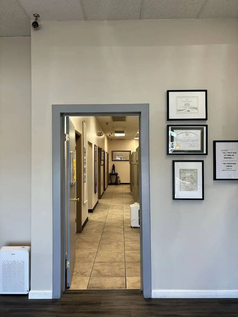 Sahara Rain Family Dentistry