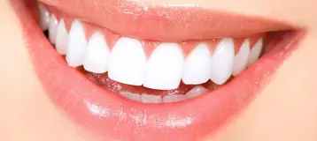 Sean P Lucas DDS