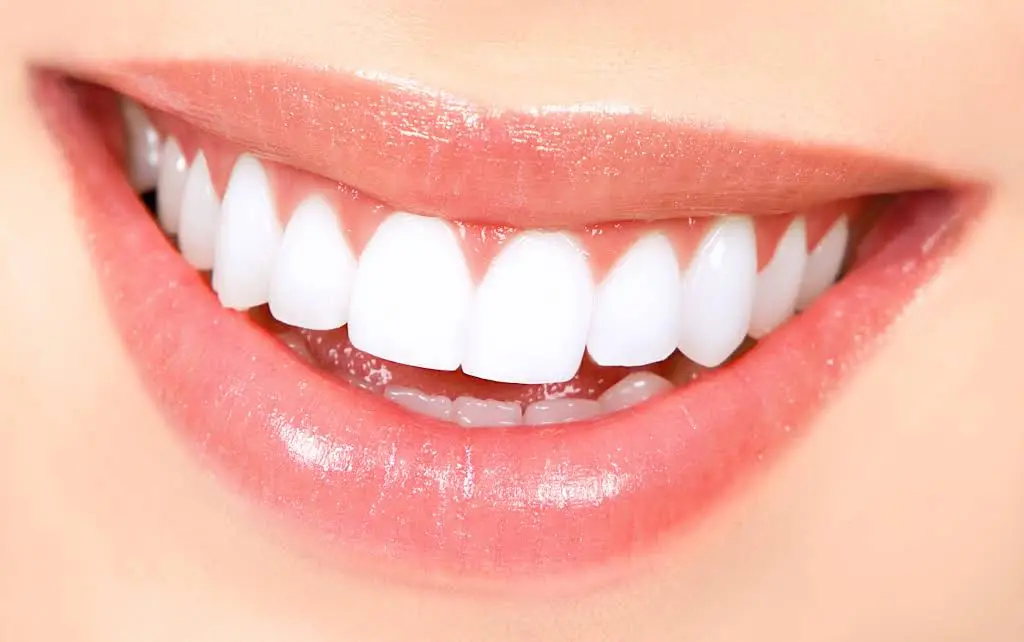 Sean P Lucas DDS