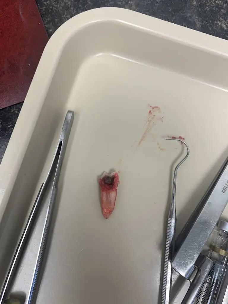 Putman Dental