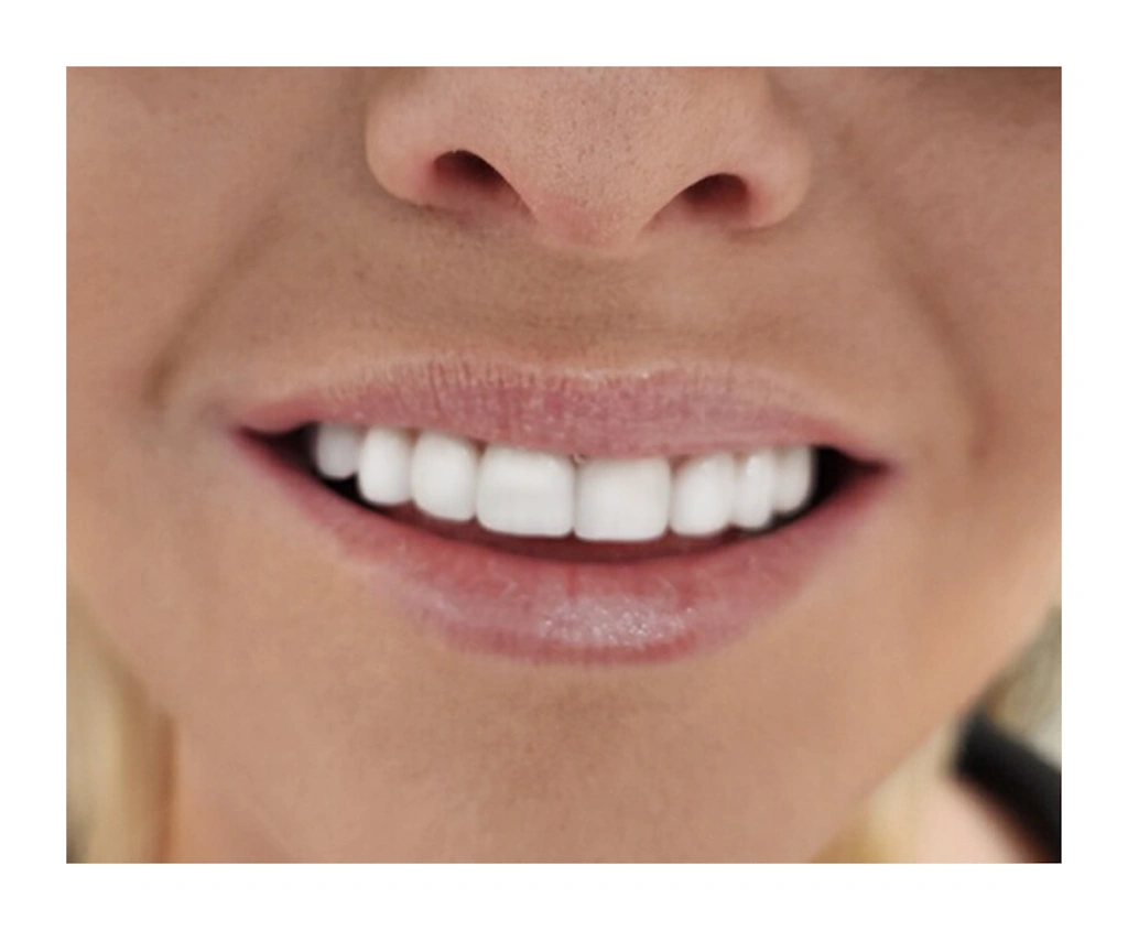 Dental Dynasty