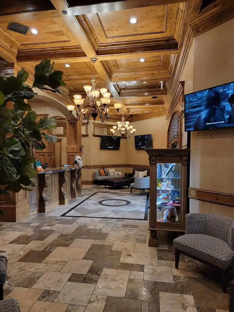 Payne Orthodontics
