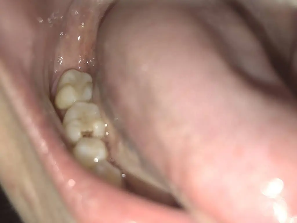 Byrd Dental Group