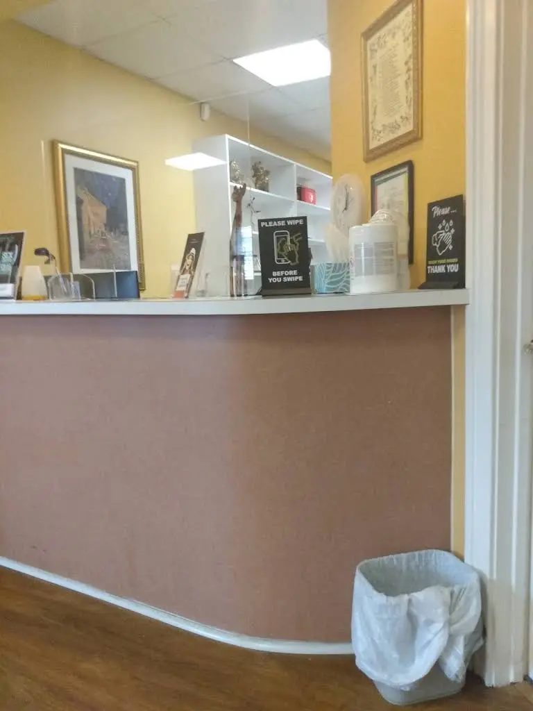 Dr. Cassandra G. Brackett, DDS