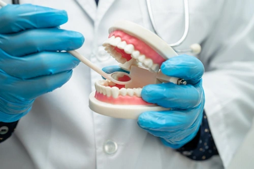 1-800-DENTIST