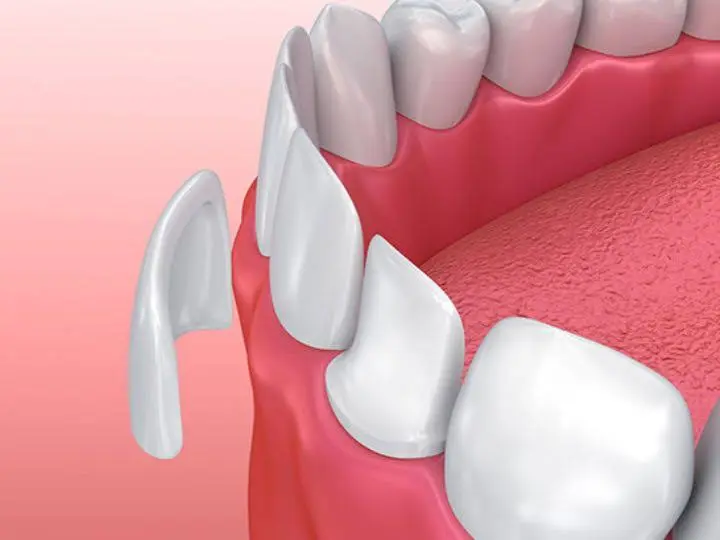 The Dental Store
