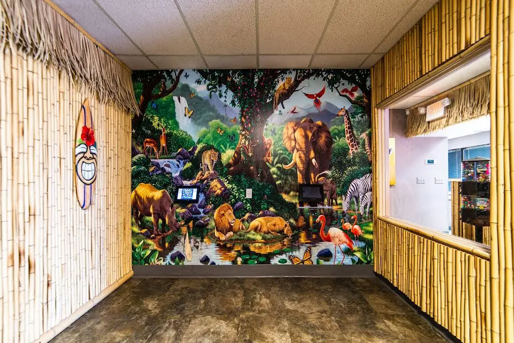 Kids' Dental Safari And Braces