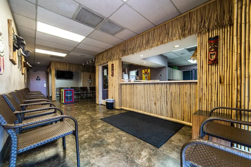 Kids' Dental Safari And Braces