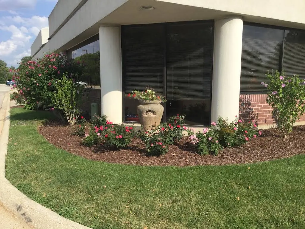 Dr. Dino's Dental Oasis