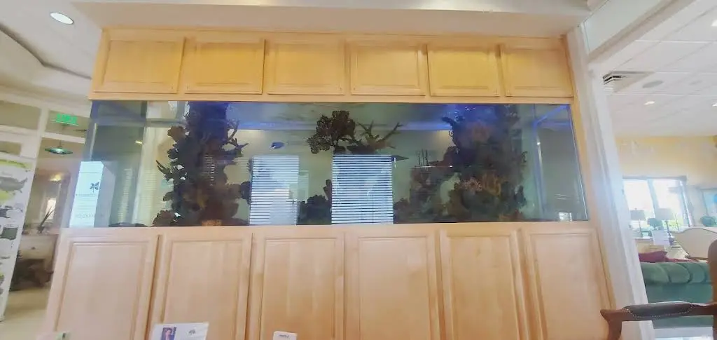 Four Seasons Dental Spa