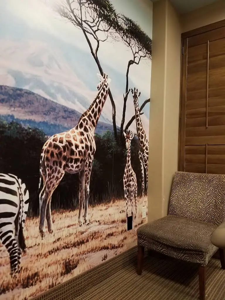 Adventure Smiles Pediatric Dentistry