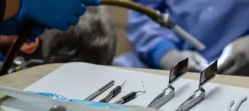 Sandquist Dentistry
