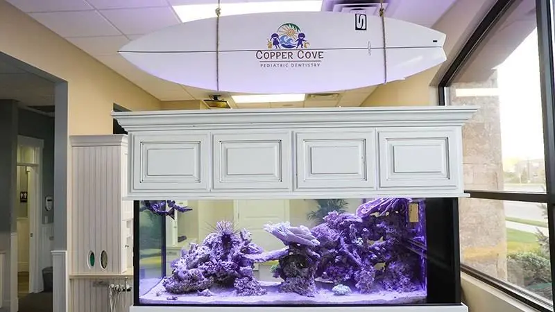 Copper Cove Pediatric Dentistry, P.L.L.C.