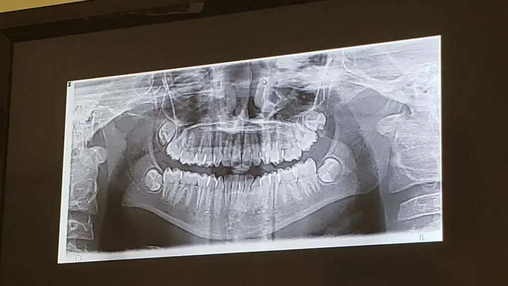 Park Orthodontics