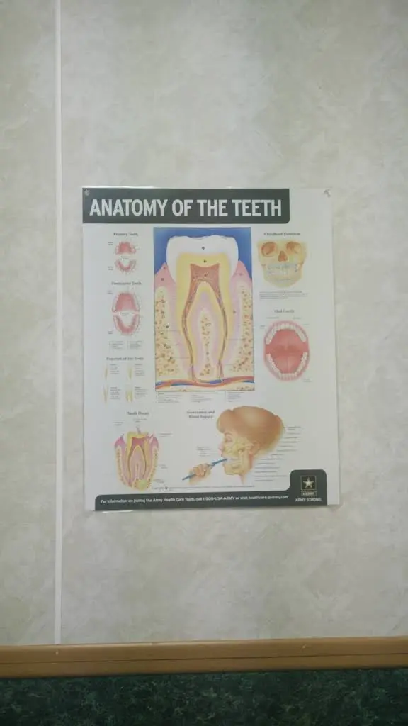 VIP Dentists - Patel Vinay DDS