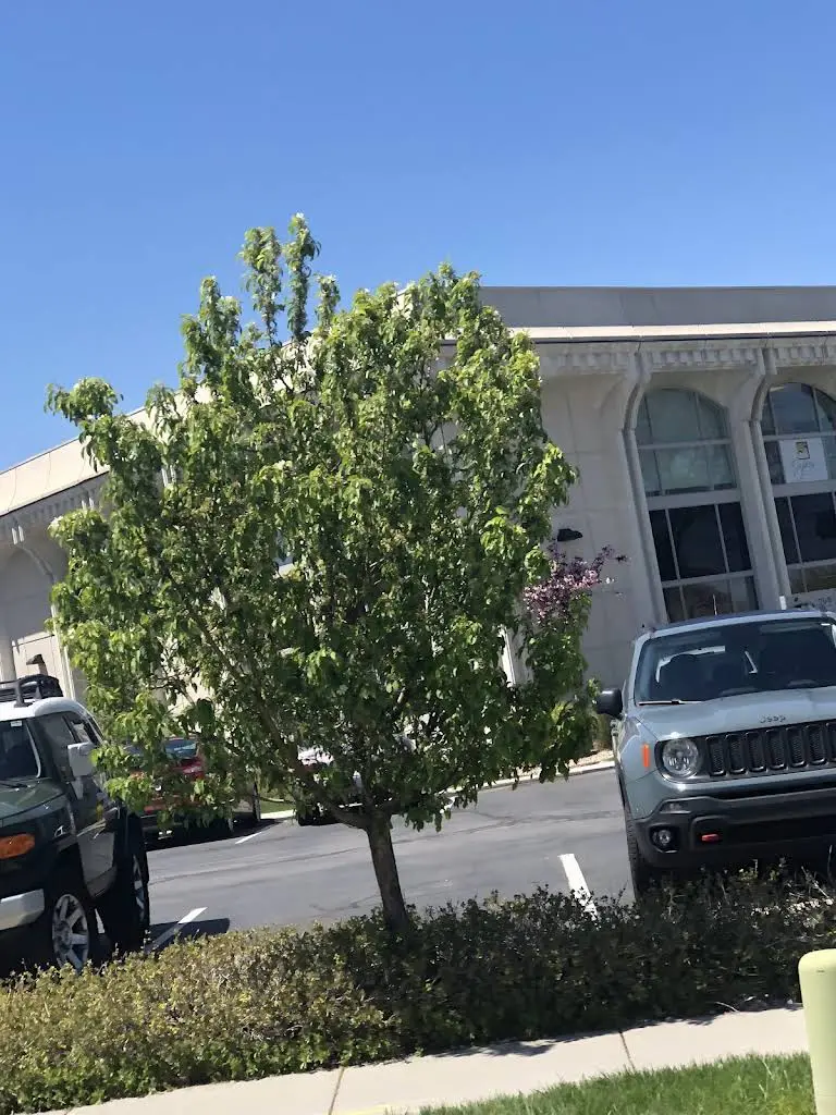 Cyprus Family Dental