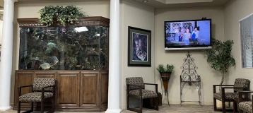Dr. Kintonis and Associates
