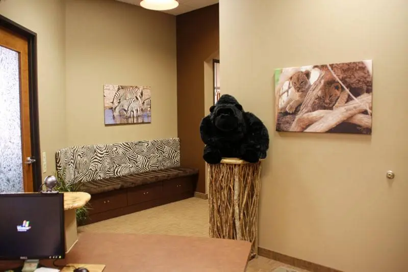 Safari Dentistry