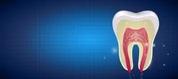 Glenbard Family Dental