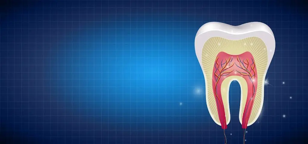 Glenbard Family Dental