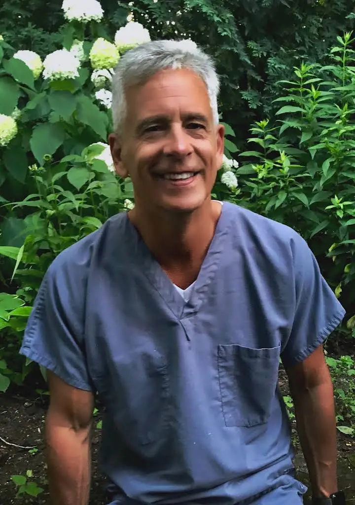 Dentistry of Lombard