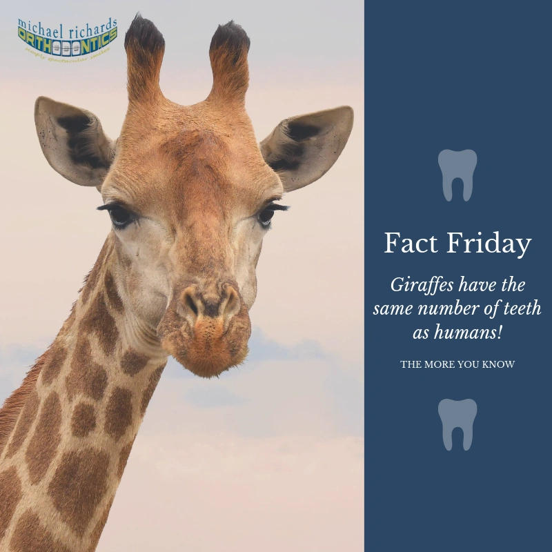 Michael Richards Orthodontics