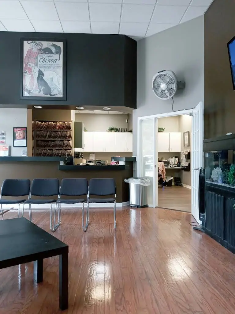 Alliance Orthodontics
