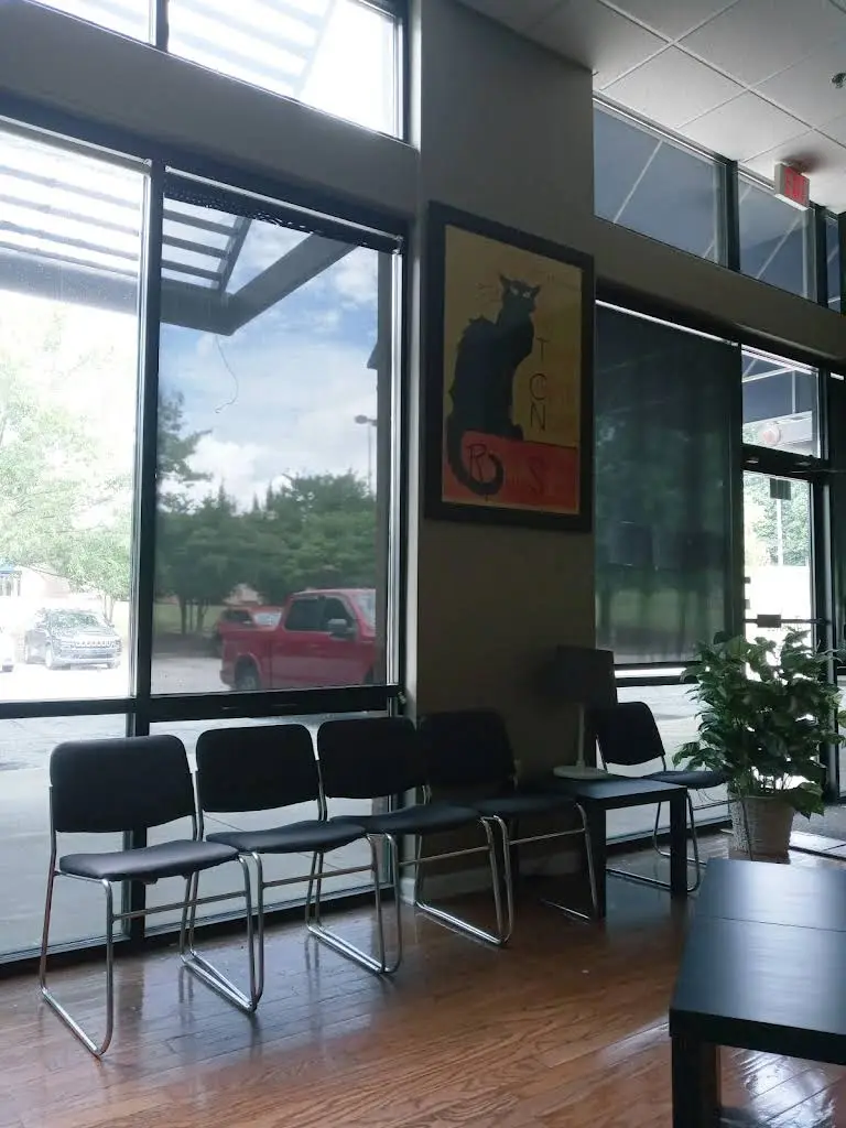 Alliance Orthodontics