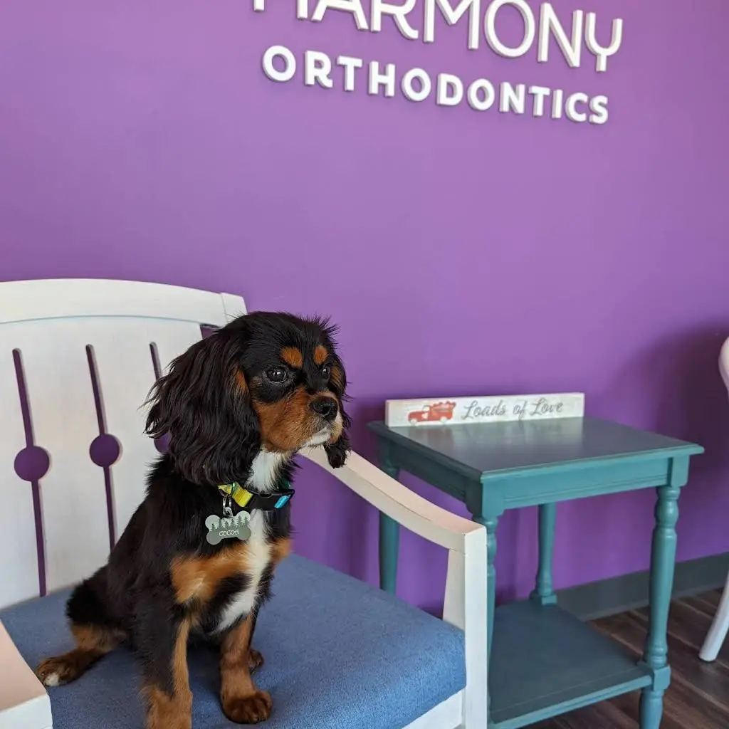 Harmony Orthodontics