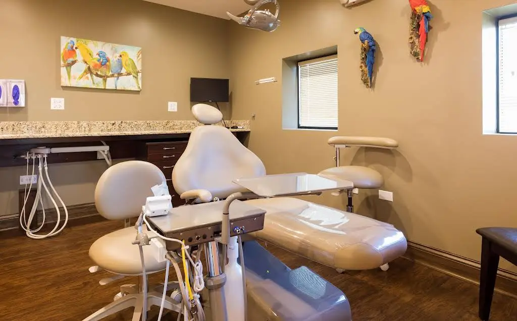 Webster Dental Care