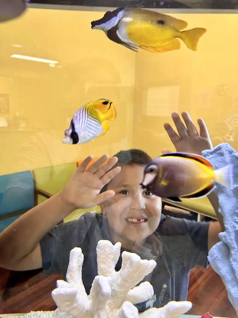 OWL Pediatric Dentistry