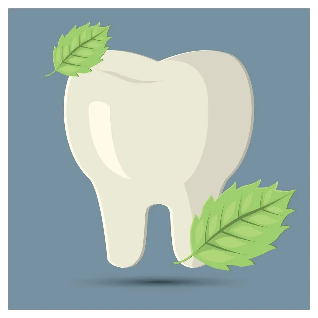 Harmony Dental