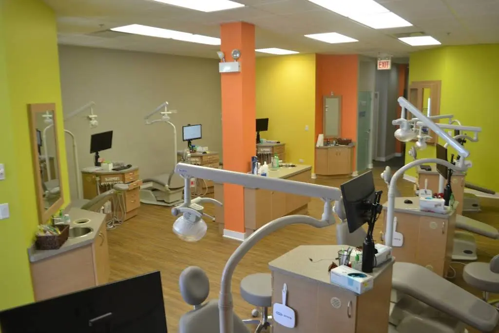 Orthodontic Experts