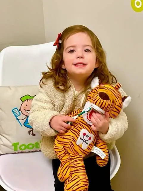 Tooth Buds Pediatric Dentistry