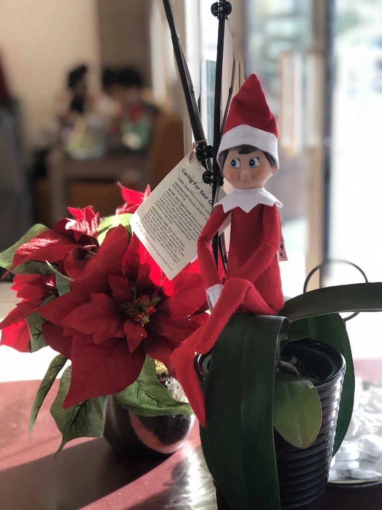 Eastern Hills Family Dental