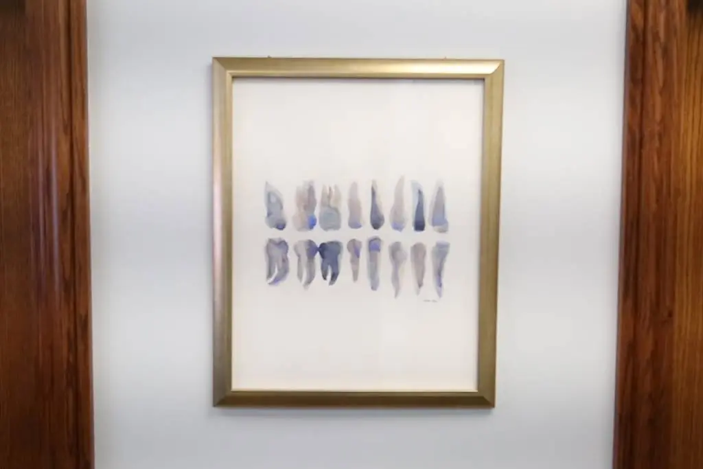 Hinsdale Dental Journey
