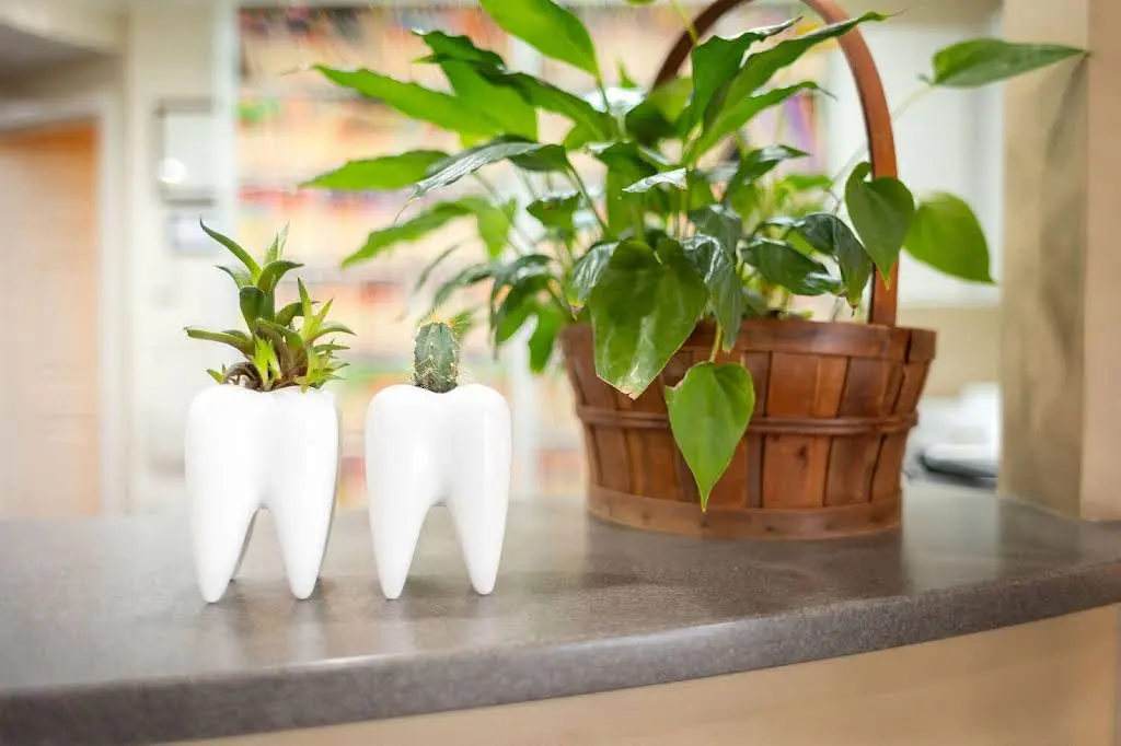 La Grange Dental Studio
