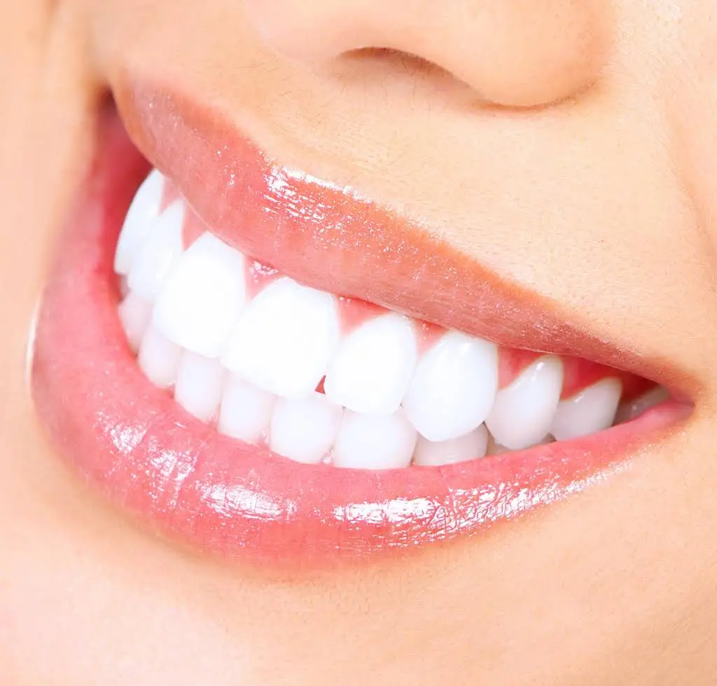 Marielaina Perrone DDS