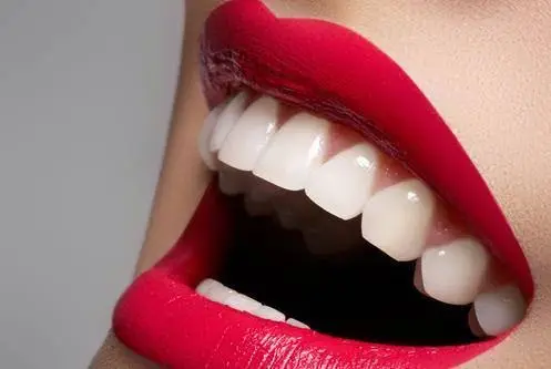 Marielaina Perrone DDS