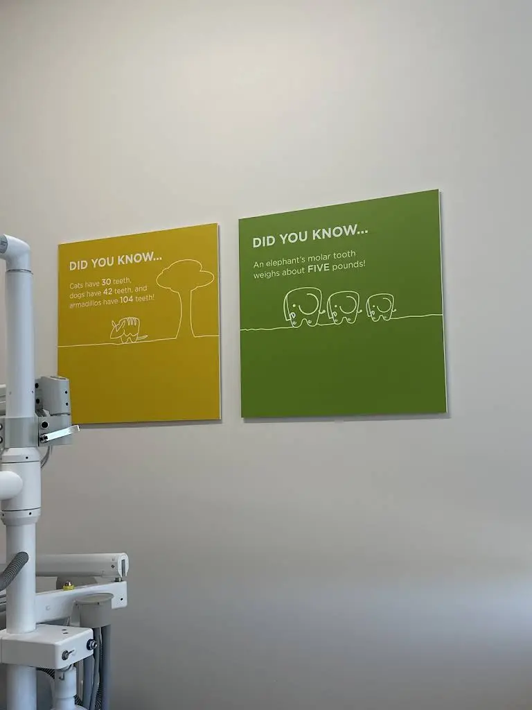 Union Village Kids' Dentistry and Orthodontics